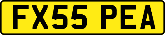 FX55PEA