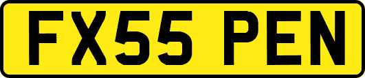 FX55PEN