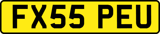 FX55PEU