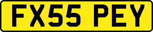 FX55PEY