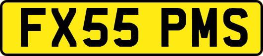 FX55PMS