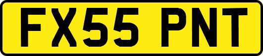 FX55PNT