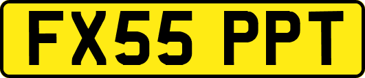 FX55PPT
