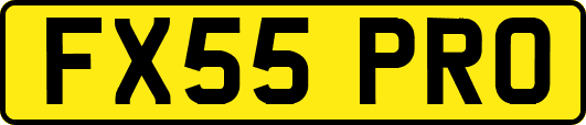FX55PRO