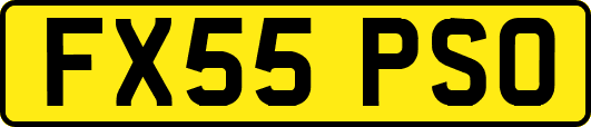 FX55PSO