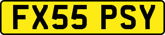 FX55PSY