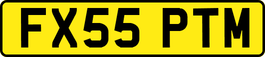 FX55PTM