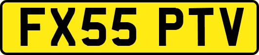 FX55PTV