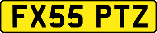 FX55PTZ