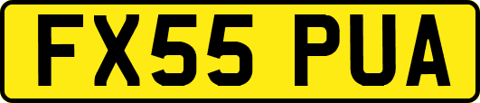 FX55PUA