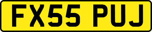 FX55PUJ