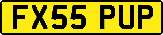 FX55PUP