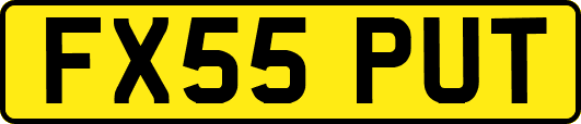 FX55PUT