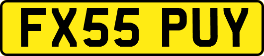 FX55PUY