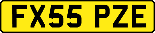 FX55PZE