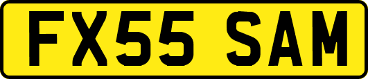 FX55SAM