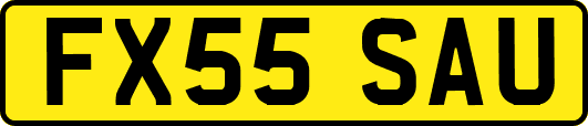 FX55SAU