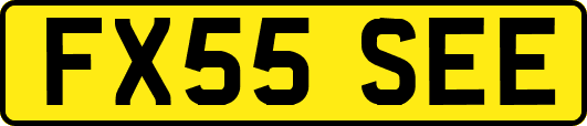 FX55SEE