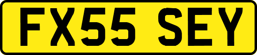 FX55SEY