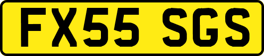 FX55SGS