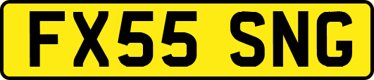 FX55SNG
