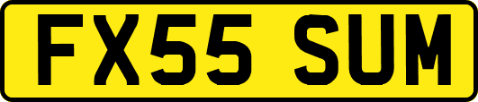 FX55SUM