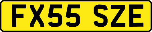 FX55SZE
