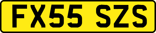 FX55SZS