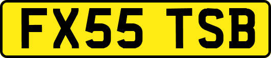 FX55TSB