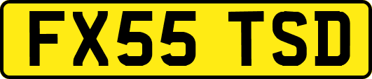 FX55TSD
