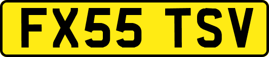 FX55TSV
