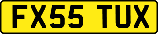 FX55TUX