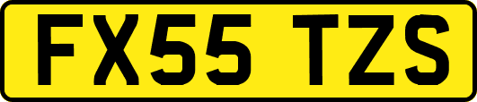 FX55TZS