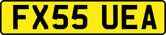 FX55UEA