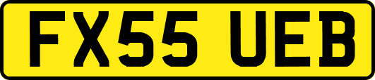 FX55UEB