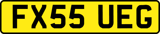 FX55UEG