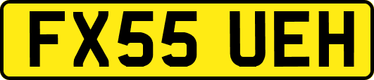 FX55UEH