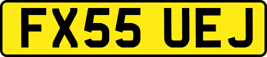 FX55UEJ