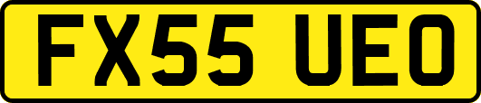 FX55UEO