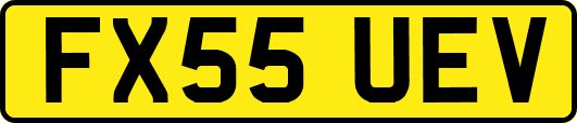 FX55UEV