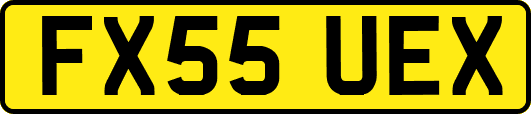 FX55UEX