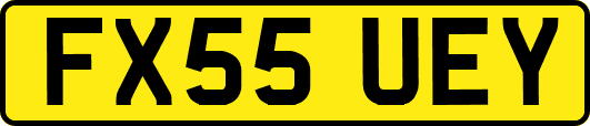 FX55UEY