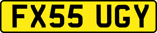 FX55UGY