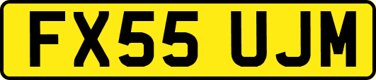 FX55UJM