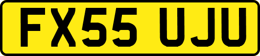 FX55UJU