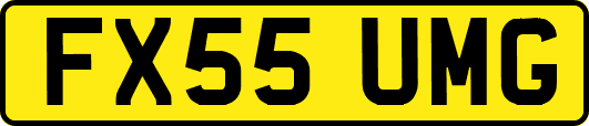 FX55UMG