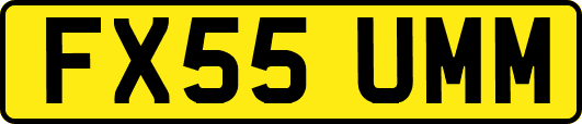 FX55UMM