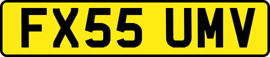 FX55UMV