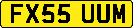 FX55UUM