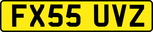 FX55UVZ